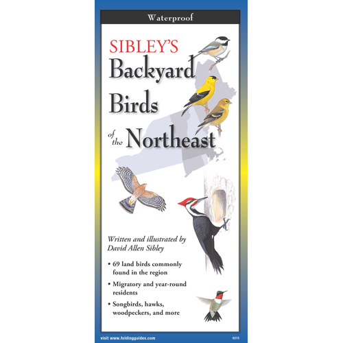 SIBLEY'S BACKYARD BIRDS OF THE NORTHEAST FOLDING GUIDE