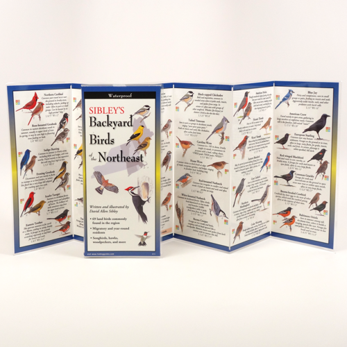 SIBLEY'S BACKYARD BIRDS OF THE NORTHEAST FOLDING GUIDE