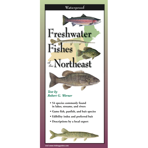 FRESHWATER FISHES OF NEW ENGLAND FOLDING GUIDE