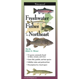 FRESHWATER FISHES OF NEW ENGLAND FOLDING GUIDE