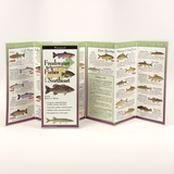 FRESHWATER FISHES OF NEW ENGLAND FOLDING GUIDE