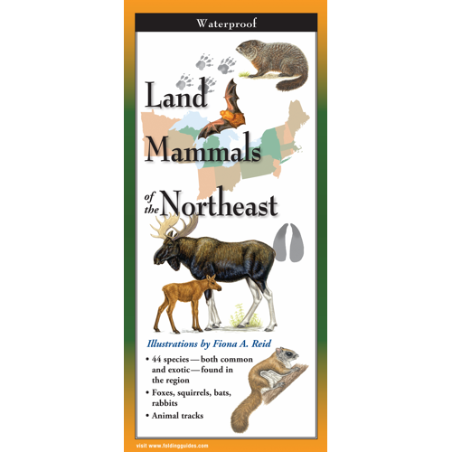 LAND MAMMALS OF THE NORTHEAST FOLDING GUIDE