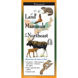 LAND MAMMALS OF THE NORTHEAST FOLDING GUIDE
