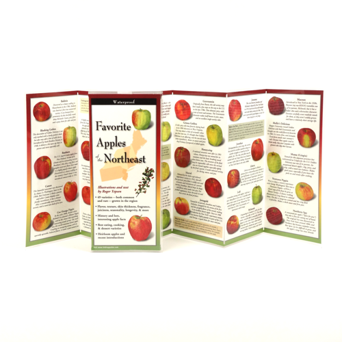 FAVORITE APPLES OF NEW ENGLAND FOLDING GUIDE