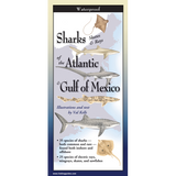 SHARKS/SKATES/RAYS OF THE ATLANTIC & GULF OF MEXICO FOLDING GUIDE