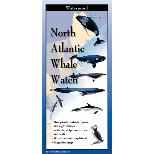 NORTH ATLANTIC WHALE WATCH FOLDING GUIDE