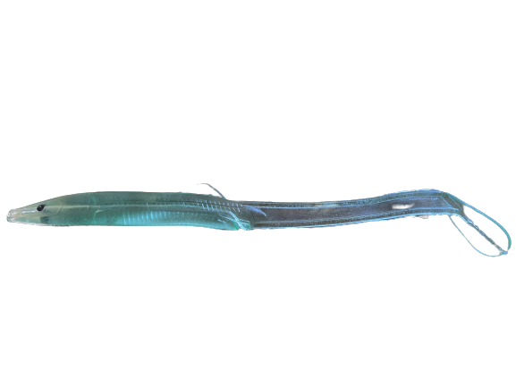 A&S TACKLE SAND EEL