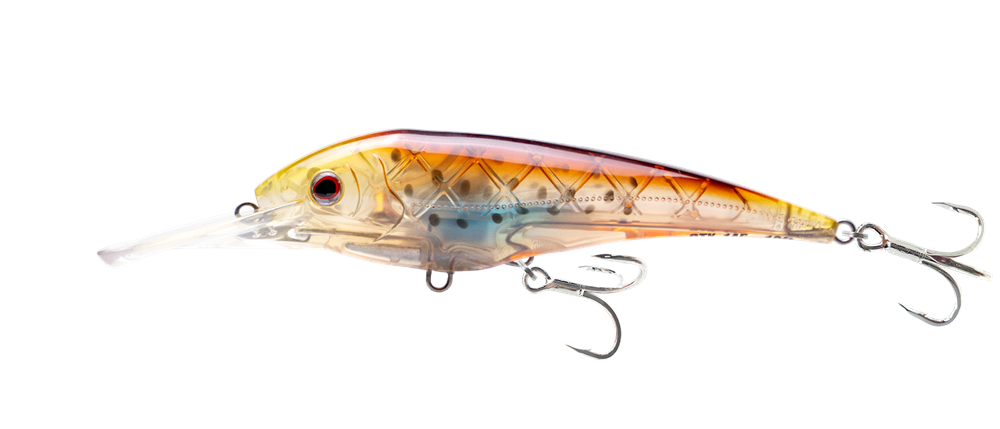 dtx fishing lures Nomad Design DTX Minnow 145 Shallow Floating Lure