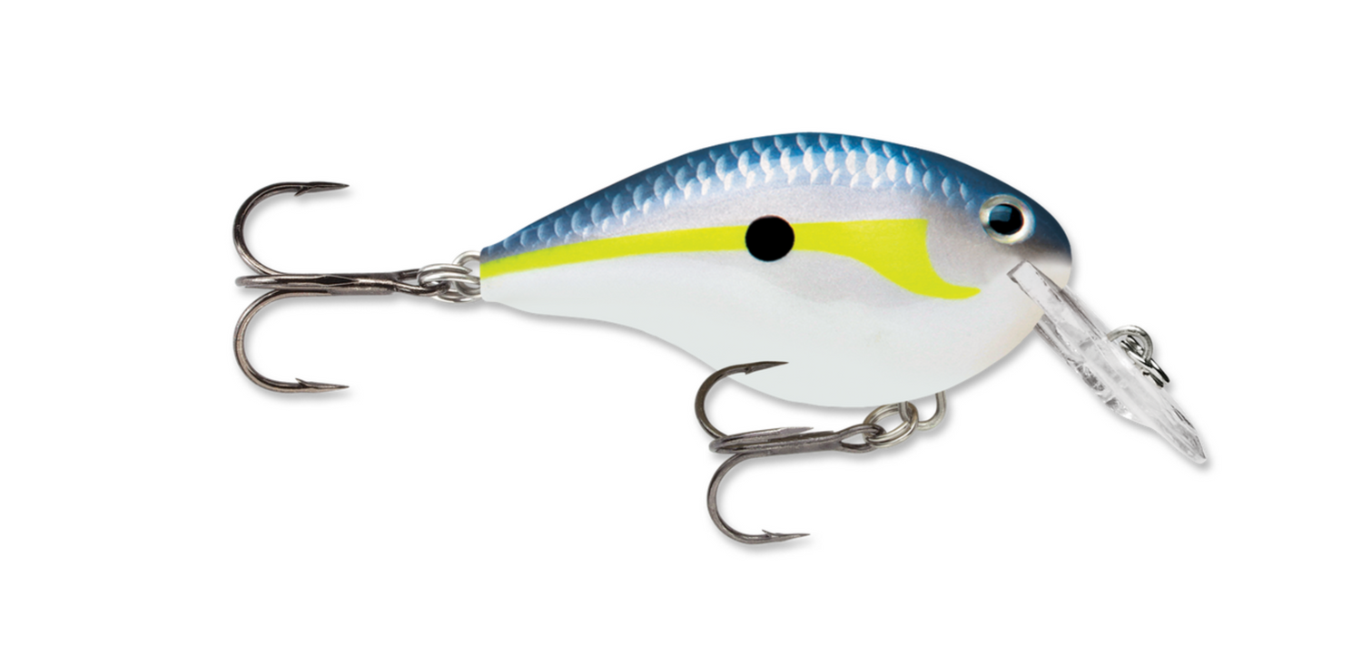 RAPALA DT SERIES CRANKBAIT 2"