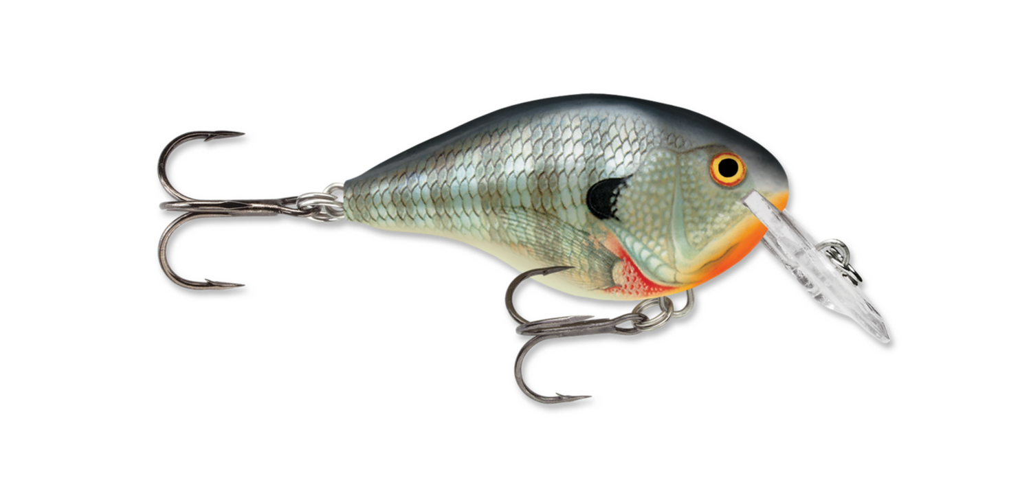 RAPALA DT SERIES CRANKBAIT 2"