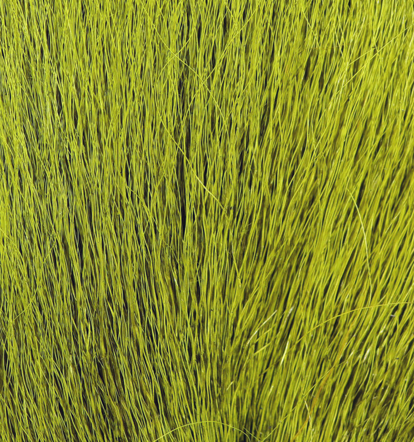 HARELINE LARGE NORTHERN BUCKTAIL