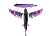 NOMAD SLIPSTREAM FLYING FISH 5.5"