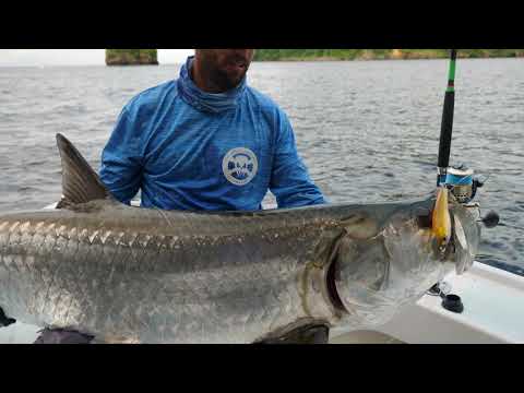 STRATEGIC ANGLER PROTEUS 130 SERIES