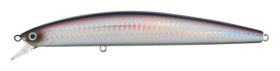 DAIWA SALT PRO MINNOW (F) 6"