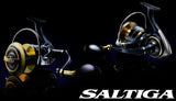 DAIWA SALTIGA G SPINNING REEL